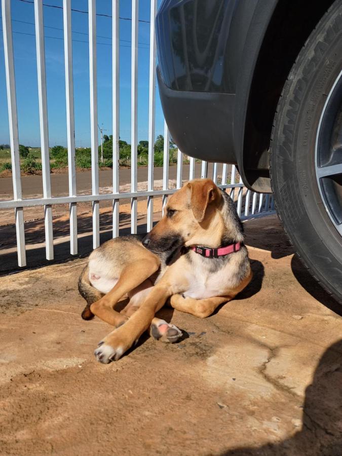 Willa Jbf 3 Casa De Temporada A Partir De 3 Diarias Olímpia Zewnętrze zdjęcie