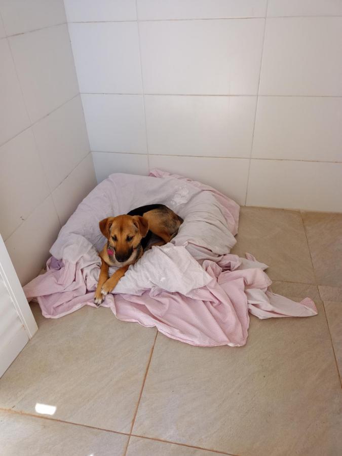 Willa Jbf 3 Casa De Temporada A Partir De 3 Diarias Olímpia Zewnętrze zdjęcie